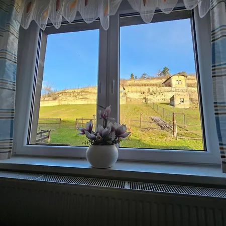 Ferienhaus Und Strausswirtschaft Im Weinberg Freyburg Buitenkant foto