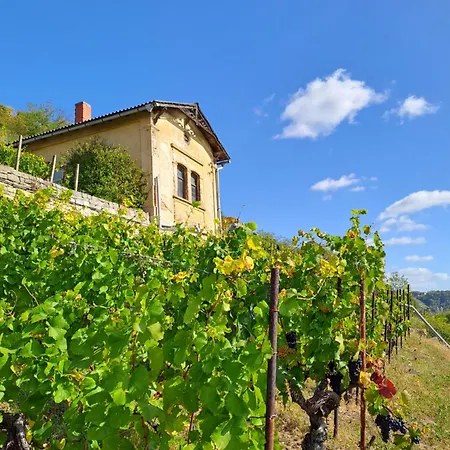 Ferienhaus Und Strausswirtschaft Im Weinberg Freyburg Buitenkant foto
