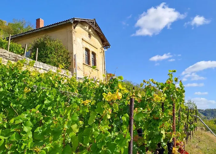 Ferienhaus Und Strausswirtschaft Im Weinberg